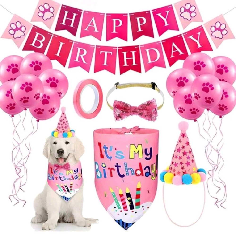 New birthday pet supplies pink /blue
